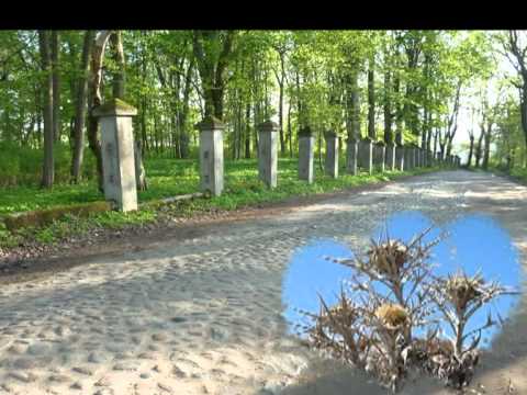 Idę drogą nieznaną   Stan Borys