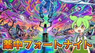 【6月から違法】CBNクッキー食べてフォートナイトやってみた