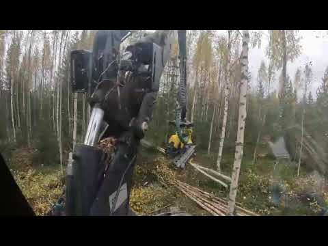 Koivikon Harvennus/ylispuita pois JD1070e/H212 #herra_hirvi #johndeereforestry #kotimainenenergia