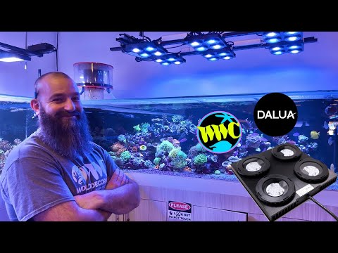 World Wide Corals x Dalua Illumagic X4 Lighting 500 Gallon Reef Tank