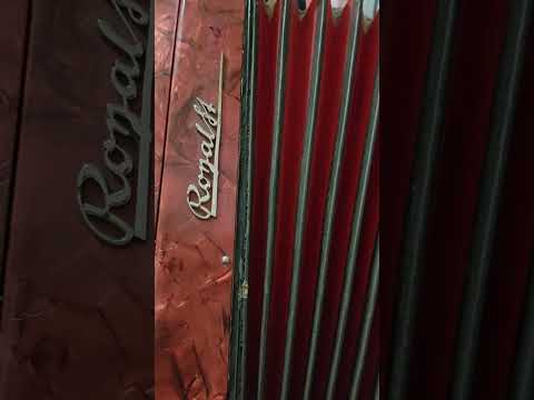 фото баян royalstandard 0