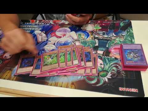 Top 64 Shaddolls Dino by Stefani Michel - European WCQ 2018