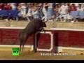 Spain Rampage: Raging bull charges into crowd ...