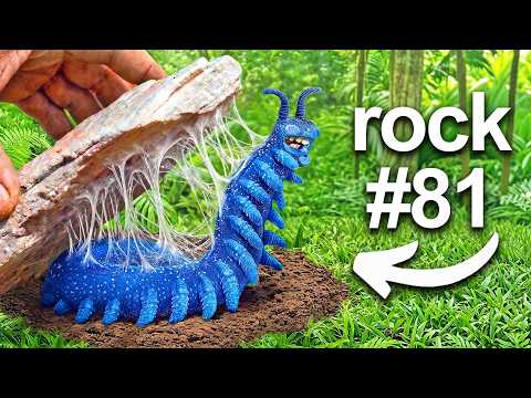 I Flipped 100 Rocks in an Exotic Jungle, Here's What I Found...