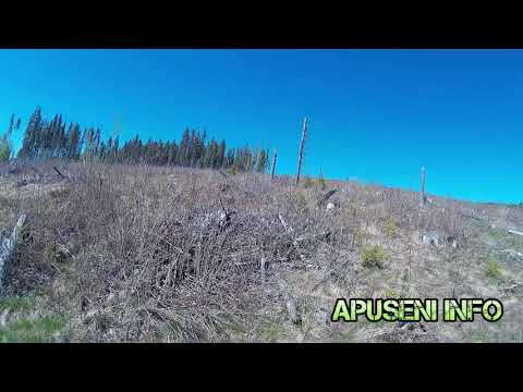 Defrișări în masă la Măguri Răcătău (Mass deforestation at Măguri Răcătău)