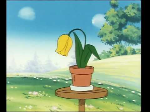 Worteltrekkers - Boes