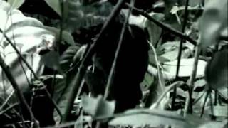 meira asher 'Woman see lot of things'_excerpt2