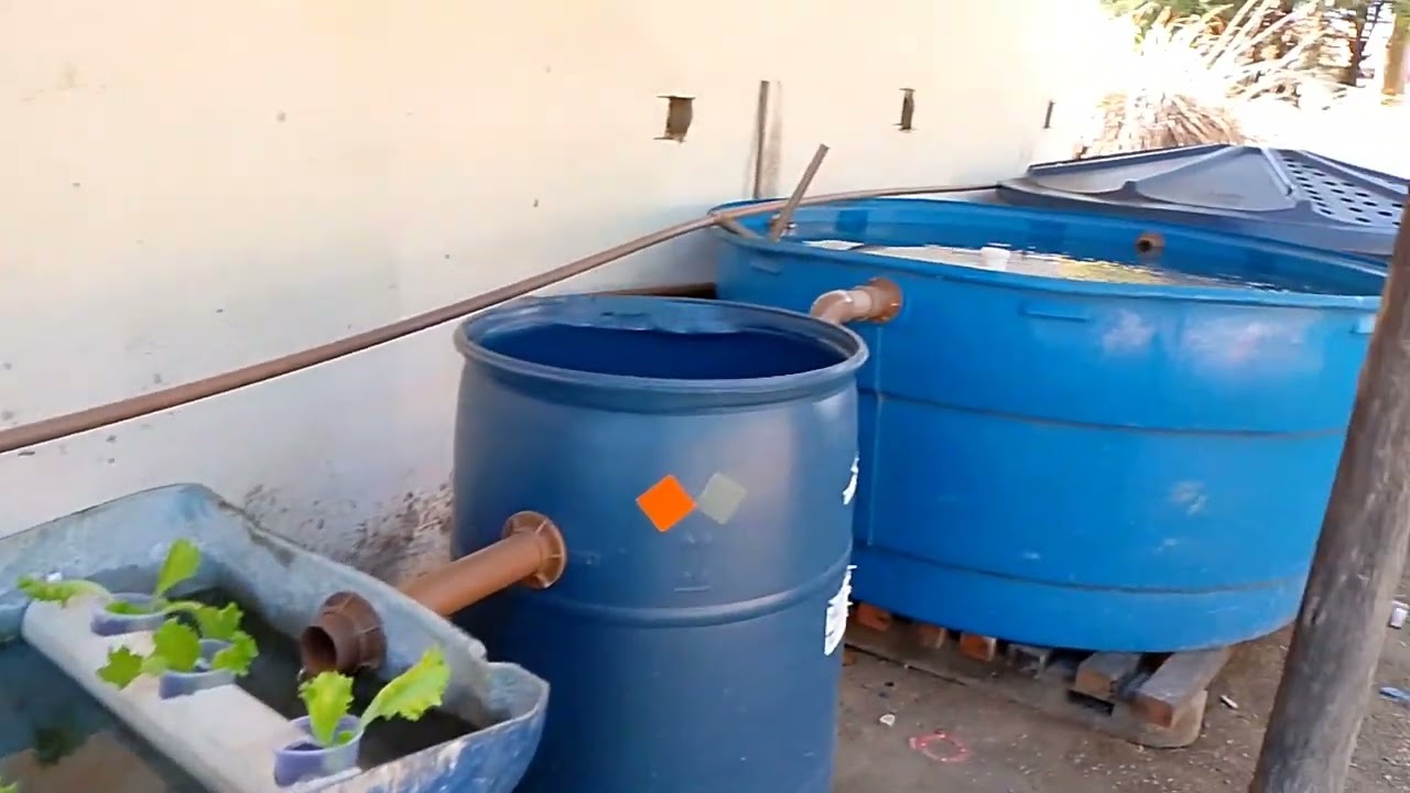 SISTEMA FUNCIONANDO PERFEITAMENTE