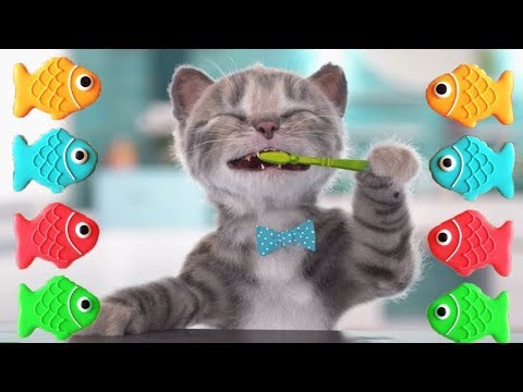 Lindo Gatito Preescolar - Dibujos Animados Infantiles | Nuevo Gatito Aventuras