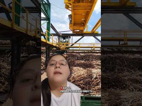 Yaracuy, Sucre y Zulia renuevan sus centrales azucareros para el consumo nacional