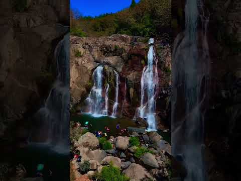 #music #parati #cat #seguimi #dalemegusta #arambala #perquin #morazán #elsalvador