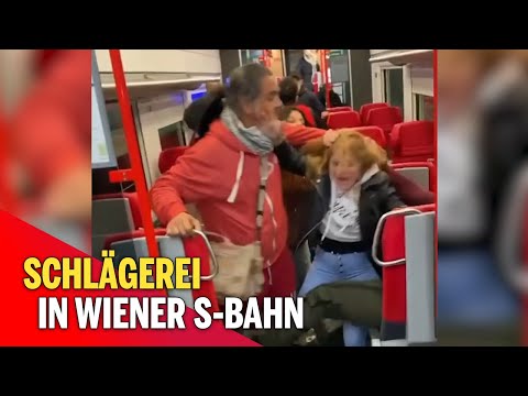 Wüste Massen-Schlägerei in Wiener S-Bahn