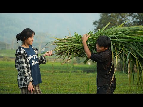 From opposition to acceptance | Thu's mother's attitude after witnessing Pao's diligence