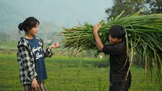 Download lagu From opposition to acceptance | Thu's mother's attitude after witnessing Pao's diligence mp3