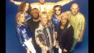 The World Wide Message Tribe - The Year of The Lord