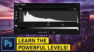 Understand Levels (MUST KNOW!)