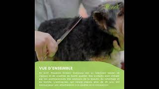 Tout sur la compagnie de ciseau Roseline