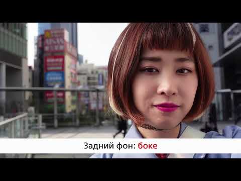 Комплект блогера Sony Lite видео 3