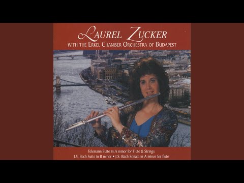 Suite in A Minor for Flute & String Orchestra: IV. Menuet I & II