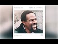 Marvin Gaye - Symphony