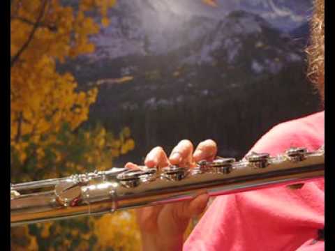 Di Zhao Bass Flute Low Register- Free Shipping in the US w/ Phone Orders