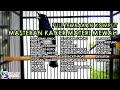 Masteran Kacer Materi Mewah Full Tembakan Komplit Masterankacer