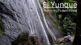 El Yunque: Puerto Rico's Rain Forest