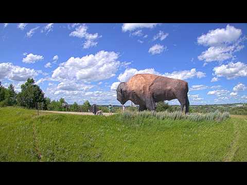 World's Largest Buffalo Monument thumbnail
