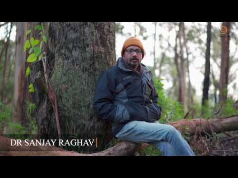 78. How to live a life as Pure Awareness