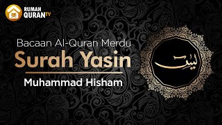 Download lagu Surah Yasin يس - Mohammed Hesham | Bacaan Al Quran Merdu mp3