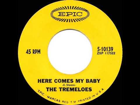 1967 HITS ARCHIVE: Here Comes My Baby - Tremeloes (mono)