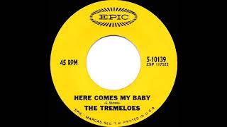 1967 HITS ARCHIVE: Here Comes My Baby - Tremeloes (mono)