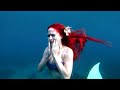 The Last Mermaid Ariel The Little Mermaid