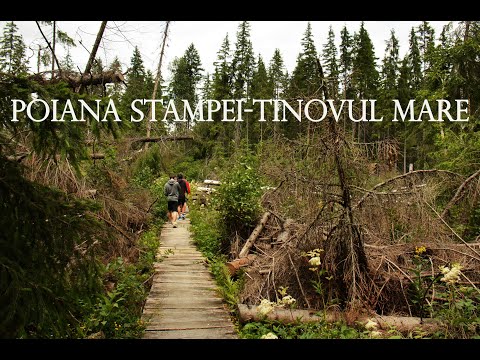 Poiana Stampei -Tinovul Mare