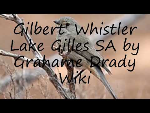 How to pronounce Gilbert' Whistler Lake Gilles SA by Grahame Drady Wiki in English?