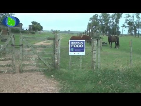 Predio Foco de Marcelo y Fabián Barrios, Molles de Olimar Chico, Treinta yTres.
