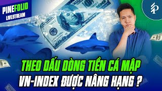 Giải mã khối ngoại mua ròng liên tiếp – Nâng hạng thị trường thành công? | Livestream PineFolio