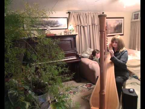 Blackbird- Beatles on the lever harp