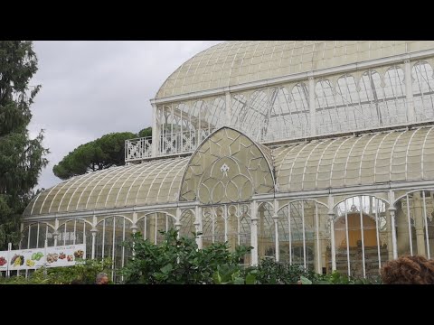 Firenze, Mostra Dell' Orticoltura 2020