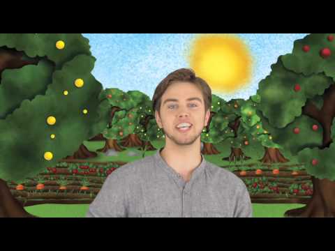 O Planeta Limpo do Filipe Pinto - Horta