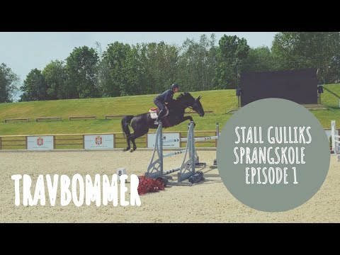 Stall Gulliks sprangskole - Travbommer