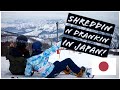 Niigata S Most Well Known Ski Resorts