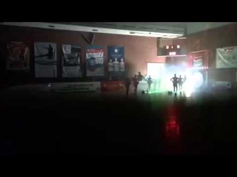 DHK Flensborg Einlaufshow