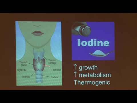 Endocrinology Pietro