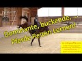 F177 Riding The Dominant Bucking Peeping Horse Learning To Ride Tense Horses Confidently