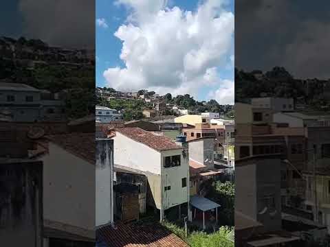 PAU BRASIL BAHIA 🌳🔥 A HISTÓRIA VIVA DA NOSSA TERRA#pau-brasilba #paisagemnatural