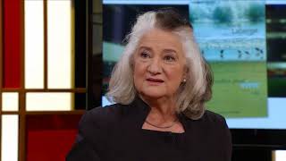 [Wikipedia] Chewbacca defense