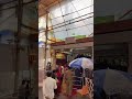 Sankashti Status Of Siddhivinayak Mandir Dadar Sankashti Siddhivinayak Shorts