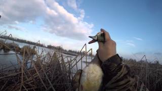 Duck Hunting Gray Lodge January 13th, 2016 Long Edit