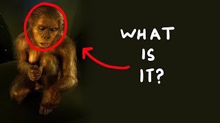 Homo habilis or Australopithecus habilis?